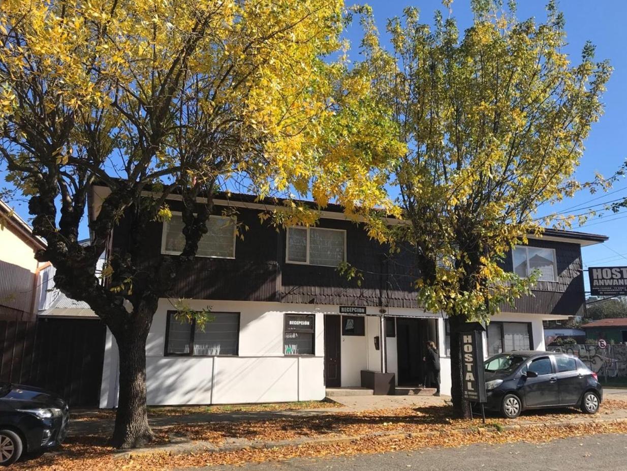 Hostel Anwandter 瓦尔迪维亚 外观 照片
